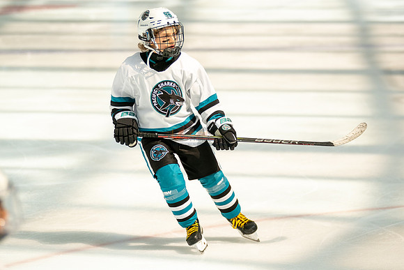 sharks-may2-0269