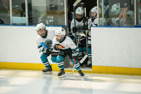 sharks--may1-0007