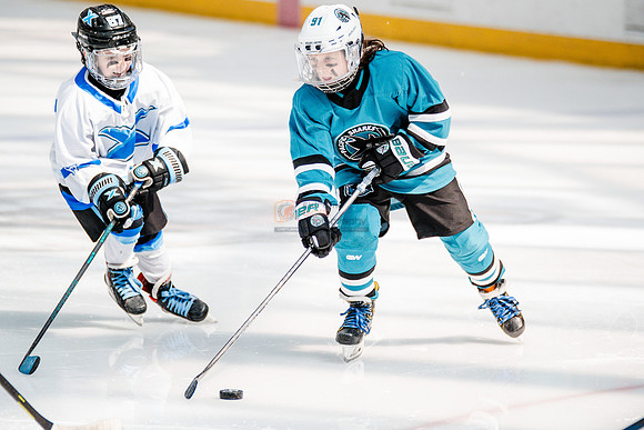 Sharks-may3-0228
