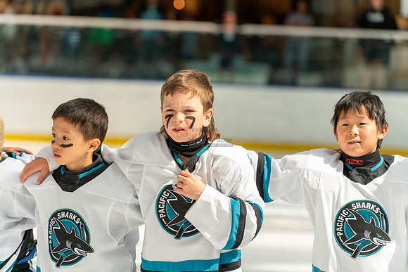 sharks-may2-9569