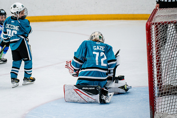 Sharks-may3-0301