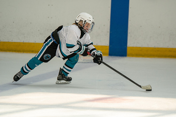 sharks-may2-0429