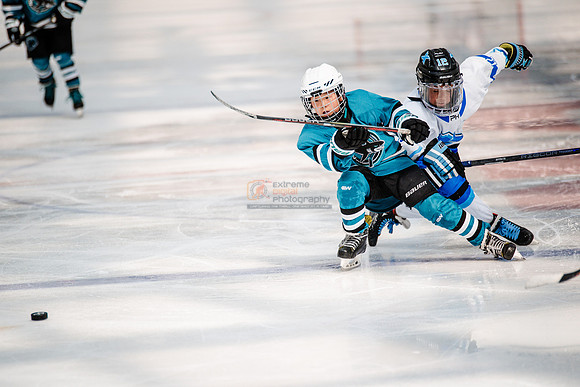 Sharks-may3-0192