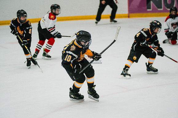 hawksnov92024-382