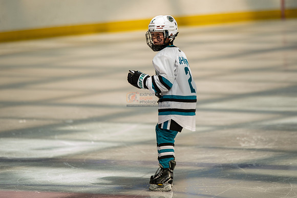 sharks-may2-0181