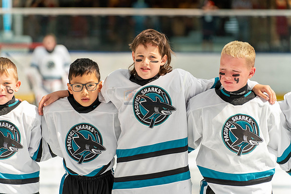 sharks-may2-9557