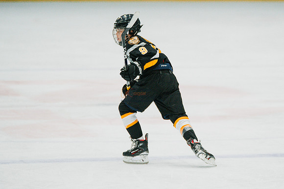 hawksnov92024-249