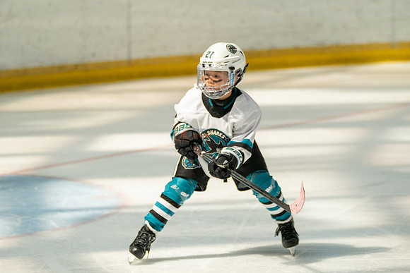 sharks-may2-0205