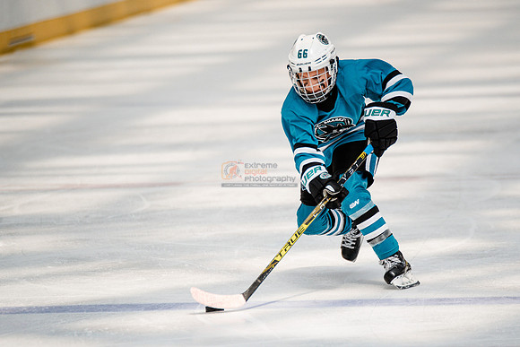 Sharks-may3-0254