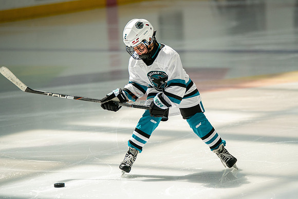 sharks-may2-0053