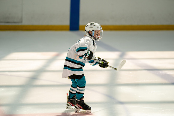 sharks-may2-0399