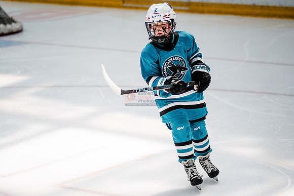 Sharks-may3-0141