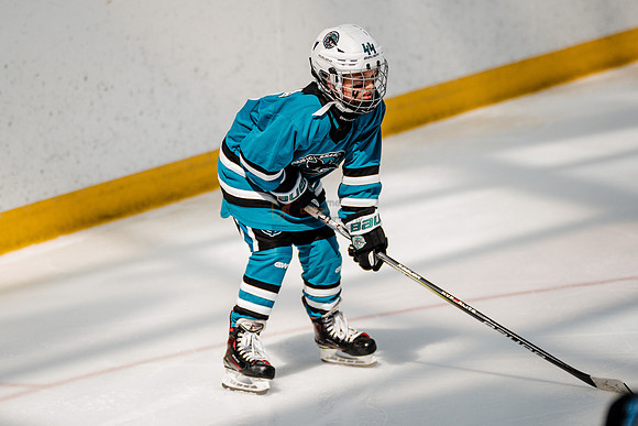 Sharks-may3-0219
