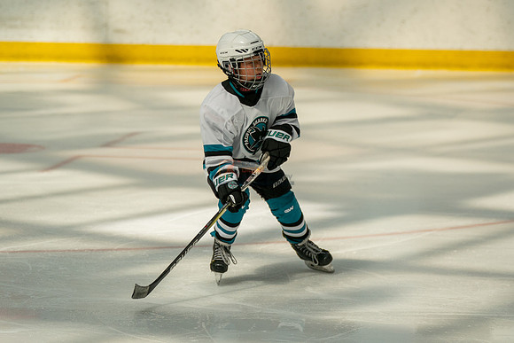 sharks-may2-0115